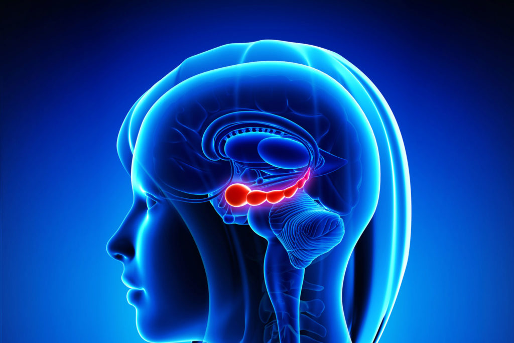 The “Just Say No!” Part of Our Brain: The Neuroscience of Change ...